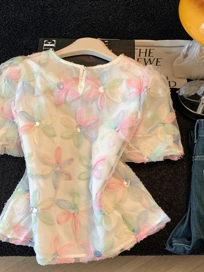 Blusa Elegante de Encaje con C - Embroidery Organza reseña y precio
