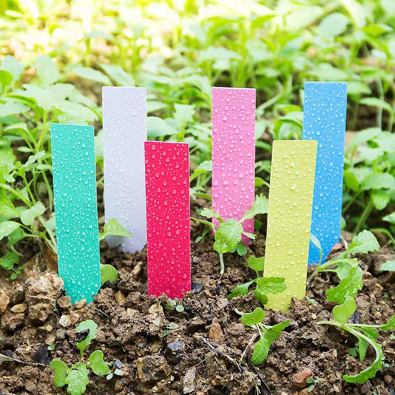 100 Uds. Etiquetas para planta - Embroidery Writing reseña y precio