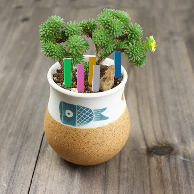 100 Uds. Etiquetas para planta - Embroidery Writing reseña y precio