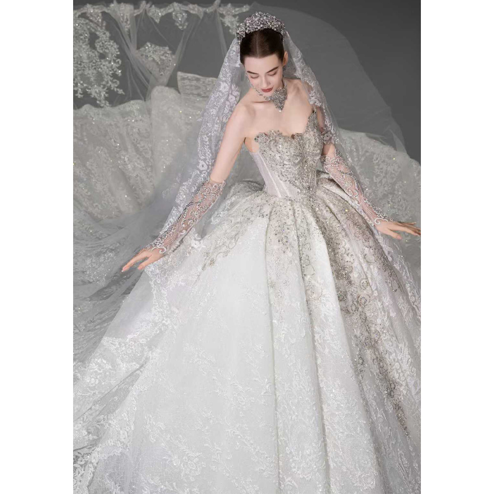 Vestido de Novia de Lujo con H - Embroidery Organza reseña y precio